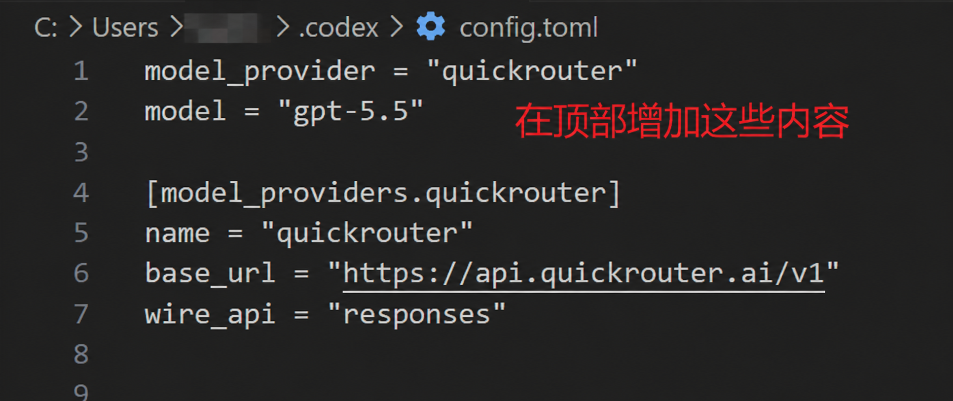 在 config.toml 顶部添加 QuickRouter 配置