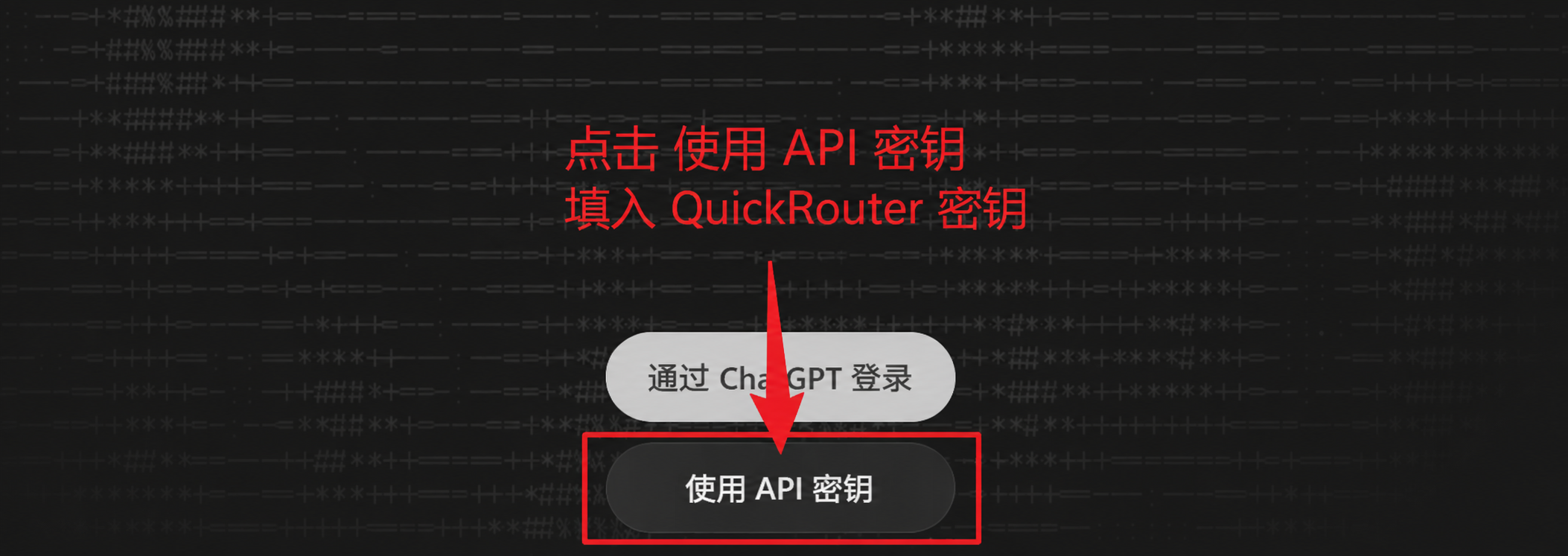 选择使用 API 密钥登录